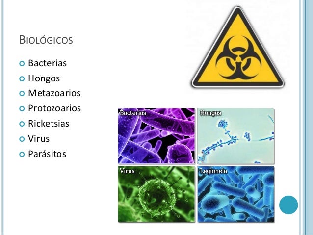 Factores condicionantes del proceso salud enfermedad