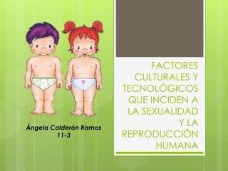FACTORES
CULTURALES Y
TECNOLÓGICOS
QUE INCIDEN A
LA SEXUALIDAD
Y LA
REPRODUCCIÓN
HUMANA
Ángela Calderón Ramos
11-3
 