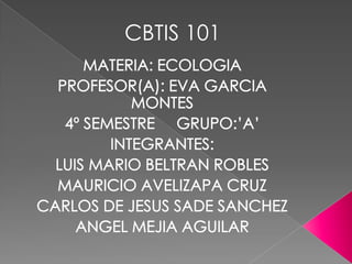 CBTIS 101
 