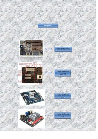 Factores de forma respuestas