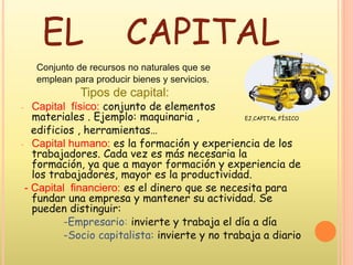 EL CAPITAL
Conjunto de recursos no naturales que se
emplean para producir bienes y servicios.
Tipos de capital:
- Capital físico: conjunto de elementos
materiales . Ejemplo: maquinaria , EJ,CAPITAL FÍSICO
edificios , herramientas…
- Capital humano: es la formación y experiencia de los
trabajadores. Cada vez es más necesaria la
formación, ya que a mayor formación y experiencia de
los trabajadores, mayor es la productividad.
- Capital financiero: es el dinero que se necesita para
fundar una empresa y mantener su actividad. Se
pueden distinguir:
-Empresario: invierte y trabaja el día a día
-Socio capitalista: invierte y no trabaja a diario
 