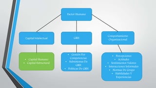 Factor Humano
GRH
Comportamiento
Organizacional
• Capital Humano
• Capital Estructural
• Gestión Por
Competencias
• Subsistemas De
GRH
• Políticas De GRH
• Percepciones
• Actitudes
• Sentimientos Valores
• Interacciones Informales
• Normas De Grupo
• Habilidades Y
Experiencias
 