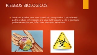 RIESGOS BIOLOGICOS
 Son todos aquellos seres vivos conocidos como paracitos o bacterias esto
podría producir enfermedades a la salud del trabajador y esto le podría dar
problemas respiratorios, infecciones, dermatitis, entre otras.
 
