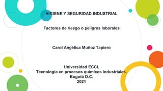 HIGIENE Y SEGURIDAD INDUSTRIAL
Factores de riesgo o peligros laborales
Carol Angélica Muñoz Tapiero
Universidad ECCI.
Tecnología en procesos químicos industriales.
Bogotá D.C.
2021
 