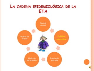 La cadena epidemiológica de la ETA 