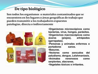De tipo biológico
Son todos los organismos o materiales contaminados que se
encuentren en los lugares o áreas geográficas de trabajo que
pueden transmitir a los trabajadores expuestos
patologías, directa o indirectamente
                                •Organismos microscópicos como
                                bacterias, virus, hongos, parásitos.
                                •Organismos macroscópicos como
                                ácaros      (piojos),     artrópodos
                                (garrapatas).
                                •Personas y animales enfermos o
                                portadores        sanos.
                                •Basuras.
                                •Vectores como zancudos del
                                paludismo, dengue, Leishmaniasis.
                                •Animales      venenosos        como
                                serpientes, alacranes.
                                •Vegetales tóxicos o irritantes.
 