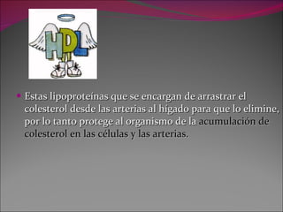 Estas lipoproteínas que se encargan de arrastrar el colesterol desde las arterias al hígado para que lo elimine, por lo tanto protege al organismo de la  acumulación de colesterol en las células y las arterias. 