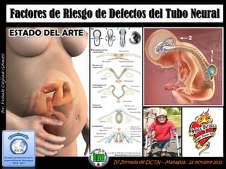 Factores de Riesgo de Defectos del Tubo Neural
IV Jornada de DCTN – Managua, 21 octubre 2011
Factores de Riesgo de Defectos del Tubo Neural
ESTADO DEL ARTE
 