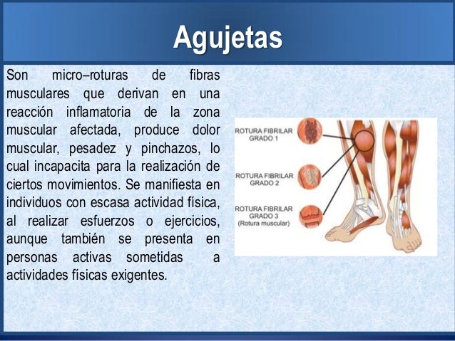 Factores de riesgo en la actividad física Factores de riesgo en la actividad física