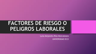 FACTORES DE RIESGO O
PELIGROS LABORALES
Luna Alejandra Ríos Moncaleano
UNIVERSIDAD ECCI
 