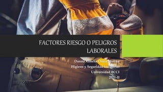 FACTORES RIESGO O PELIGROS
LABORALES
Danna Ximena Osma Molina
Higiene y Seguridad Industrial
Universidad ECCI
2021-II
 