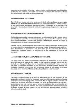 transmiten enfermedades al hombre o a los animales, perdiéndose así la posibilidad de
controlarlos con facilidad y eficiencia. Reportes de estudios realizados dan cuenta de
aproximadamente 460 casos de plagas resistentes.
RESURGENCIA DE LAS PLAGAS
Es el fenómeno ocasionado como consecuencia de la eliminación de los enemigos
naturales y el desarrollo de resistencia en una población sometida a control químico,
la cual, libre de estos dos factores que la limitan tendrá mayor éxito en su reproducción y
desarrollo y alcanzará densidades de población mayores a aquella población original que
se trató
ELIMINACIÓN DE LOS ENEMIGOS NATURALES
Se ha observado que los insectos nocivos para los intereses del hombre poseen mayor
capacidad para desarrollar mecanismos de defensa que los insectos benéficos, siendo
éstos más susceptibles a los productos químicos utilizados para controlar las plagas, y
desapareciendo con las primeras aplicaciones.
Se sabe, que en todo ecosistema él mismo se autoregula sin que exista la necesidad que
el hombre interfiera. Cada plaga tiene su enemigo natural dentro de la cadena alimen-
ticia. Diariamente la experiencia nos demuestra que la presencia del hombre
desestabiliza cualquier medio y la introducción de los plaguicidas es uno de los
ejemplos.
ASCENSO DE STATUS DE LAS PLAGAS SECUNDARIAS.
Los plaguicidas no tienen características selectivas de exterminio, ya que actúan
indiscriminadamente matando las plagas y sus enemigos naturales que entran en
contacto con el plaguicida. Cuando a las plagas secundarias se les elimina sus enemigos
naturales y adquieren resistencia a los plaguicidas, alcanzan niveles elevados de
población, llegando a convertirse en verdaderas plagas al sobrepasar los niveles
conocidos como limitantes. " Estas son las plagas hechas por el hombre ".
EFECTOS SOBRE LA FAUNA.
La aplicación indiscriminada y sin técnicas adecuadas para el uso y manejo de los
plaguicidas, contamina el aire, las aguas y el suelo, permitiéndose así que los residuos y
en muchas ocasiones los plaguicidas propiamente dichos, lleguen hasta los animales que
habitan en las zonas donde son aplicados y a veces a grandes distancias de ellos,
presentándose de esta manera graves crímenes ecológicos. La contaminación con
plaguicidas de las especies animales trae como consecuencia que estos residuos se
acumulen en ellos, y al ser consumidos por las personas sean asimilados causando
alteraciones de la salud.
Derechos Reservados Suratep
36
36
 
