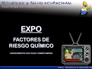 EXPO
 FACTORES DE
RIESGO QUÍMICO
AGRADECIMIENTOS: DAILY ROJAS Y HOMERO SIMPSON
 