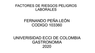 FACTORES DE RIESGOS PELIGROS
LABORALES
FERNANDO PEÑA LEÓN
CODIGO 103360
UNIVERISIDAD ECCI DE COLOMBIA
GASTRONOMIA
2020
 