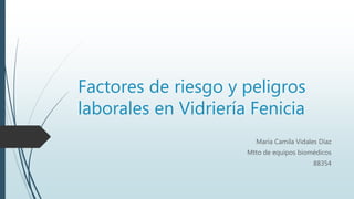 Factores de riesgo y peligros
laborales en Vidriería Fenicia
María Camila Vidales Díaz
Mtto de equipos biomédicos
88354
 