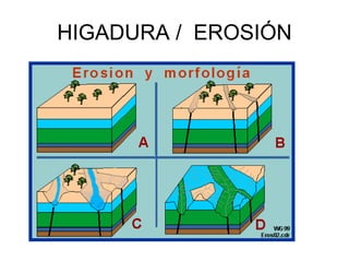 HIGADURA /  EROSIÓN 
