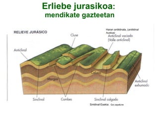 Erliebe jurasikoa :  mendikate gazteetan Sinklinal Esekia:  Goi zapalune  Haran antiklinala, ( antiklinal hustua) 