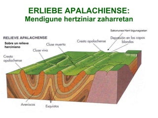 ERLIEBE APALACHIENSE: Mendigune hertziniar zaharretan Sakonunea Harri bigunagoetan Sobre un relieve herciniano 