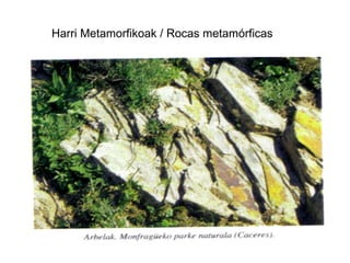 Harri Metamorfikoak / Rocas metamórficas 