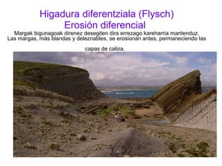 Higadura diferentziala (Flysch) Erosión diferencial   Margak bigunagoak direnez desegiten dira errezago kareharria mantenduz. Las margas, más blandas y deleznables, se erosionan antes, permaneciendo las capas de caliza.   