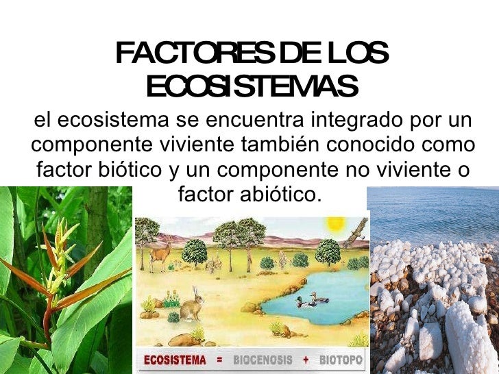 Factores de un_ecosistema