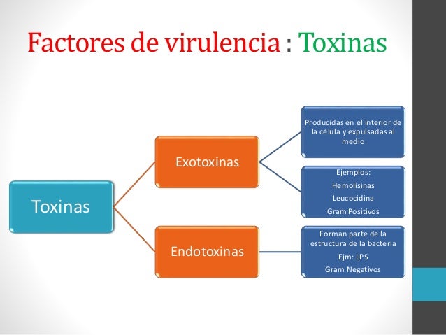Factores de virulencia