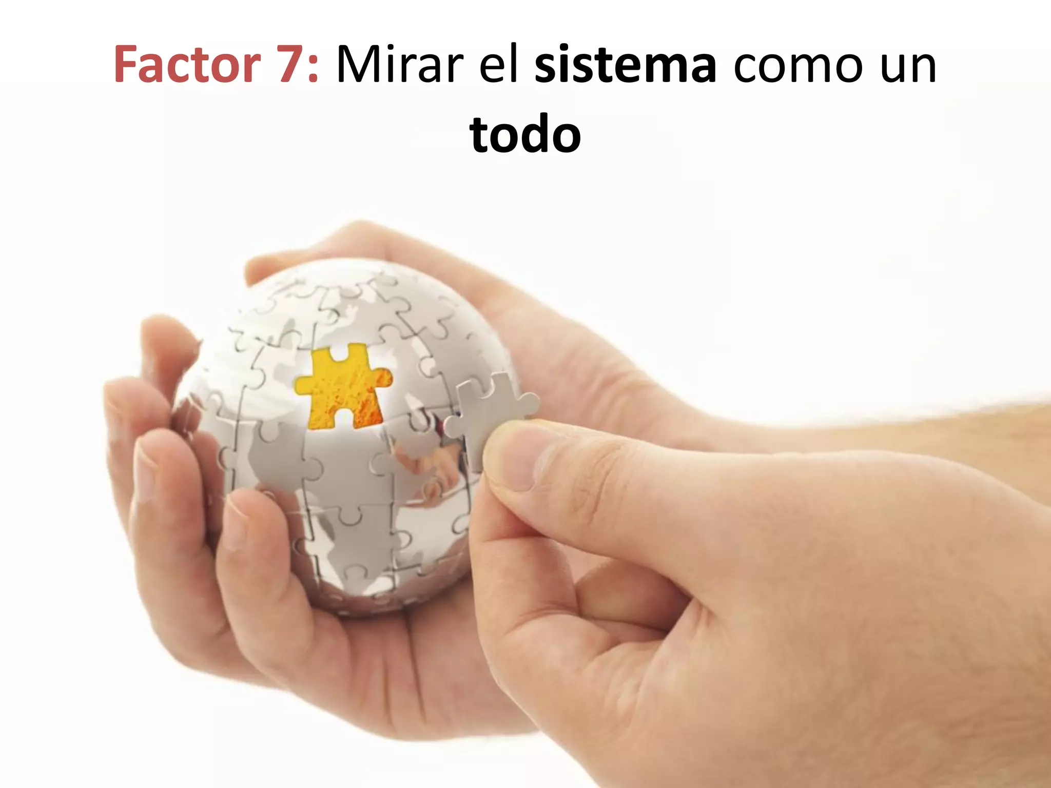 Factor 7: Mirar el sistema como un
todo
 