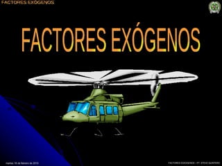 martes 16 de febrero de 2010 FACTORES ESXOGENOS – PT. STEVE QUINTERO FACTORES EXÓGENOS 