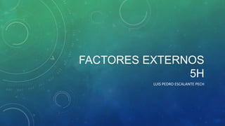 FACTORES EXTERNOS
5H
LUIS PEDRO ESCALANTE PECH

 