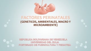 FACTORES PERINATALES
(GENETICOS, AMBIENTALES, MACRO Y
MICROAMBIENTE)
 
