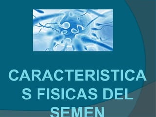 CARACTERISTICA
S FISICAS DEL
 