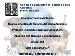 Colegio de Bachilleres del Estado de Baja
California
Plantel Mexicali
 