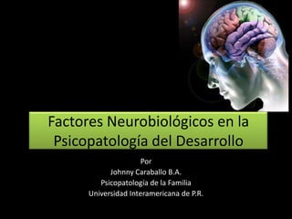 Factores Neurobiológicos en la
Psicopatología del Desarrollo
Por
Johnny Caraballo B.A.
Psicopatología de la Familia
Universidad Interamericana de P.R.
 