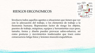 RIESGOS ERGONOMICOS
Involucra todos aquellos agentes o situaciones que tienen que ver
con la adecuación del trabajo, o los elementos de trabajo a la
fisonomía humana. Representan factor de riesgo los objetos,
puestos de trabajo, máquinas, equipos y herramientas cuyo peso,
tamaño, forma y diseño pueden provocar sobre-esfuerzo, así
como posturas y movimientos inadecuados que traen como
consecuencia fatiga física y lesiones musculo-esqueléticas.
 