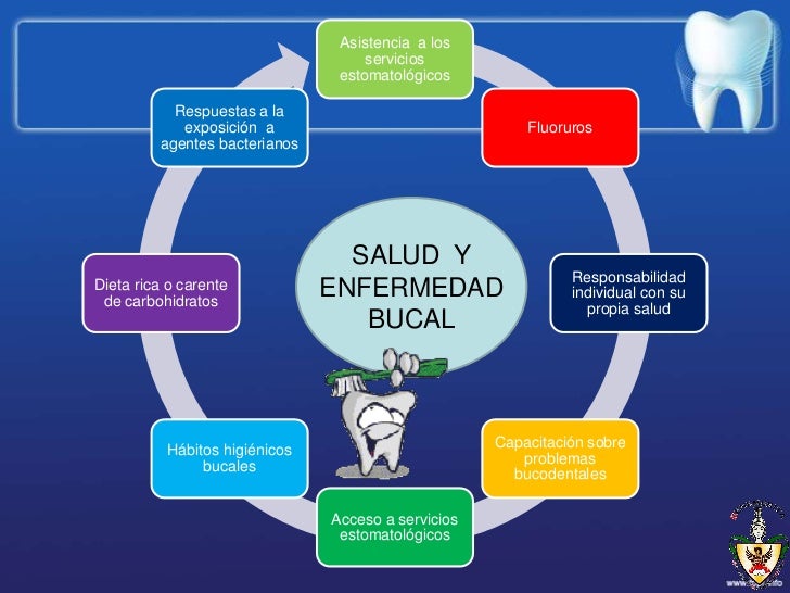 oral bucodentales problemas higiene y Factores predisponentes oral bucodentales problemas higiene y Factores predisponentes