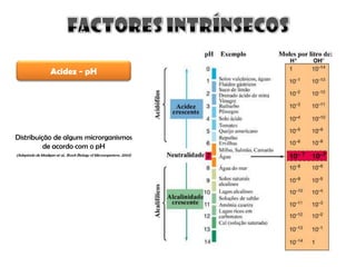 Factores Q Afectam Crescimento Micro
