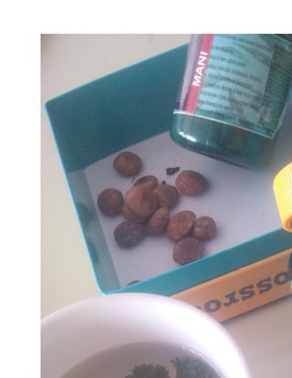 Factores que afectan a nuestro cerebro