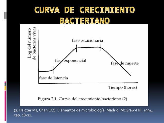 Factores que afectan el crecimiento de microorganismos