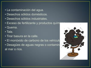 • La contaminación del agua.
• Desechos sólidos domésticos.
• Desechos sólidos industriales.
• Exceso de fertilizante y productos químicos.
• Quema.
• Tala.
• Tirar basura en la calle.
• El monóxido de carbono de los vehículos.
• Desagües de aguas negras o contaminadas
al mar o ríos.
 