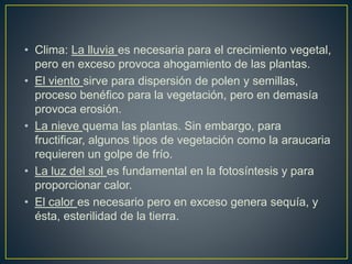 • Clima: La lluvia es necesaria para el crecimiento vegetal,
pero en exceso provoca ahogamiento de las plantas.
• El viento sirve para dispersión de polen y semillas,
proceso benéfico para la vegetación, pero en demasía
provoca erosión.
• La nieve quema las plantas. Sin embargo, para
fructificar, algunos tipos de vegetación como la araucaria
requieren un golpe de frío.
• La luz del sol es fundamental en la fotosíntesis y para
proporcionar calor.
• El calor es necesario pero en exceso genera sequía, y
ésta, esterilidad de la tierra.
 