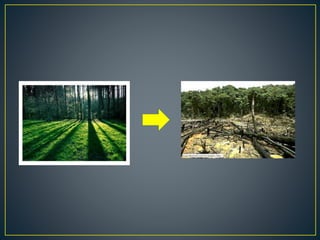 Factores que afectan el medio ambiente