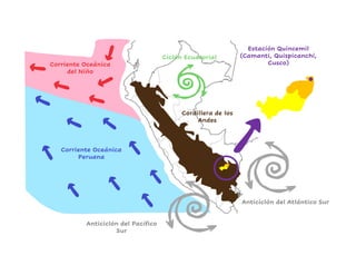 Corriente Oceánica
Peruana
Corriente Oceánica
del Niño
Estación Quincemil
(Camanti, Quispicanchi,
Cusco)
Anticiclón del Pacífico
Sur
Anticiclón del Atlántico Sur
Ciclón Ecuatorial
Cordillera de los
Andes
 