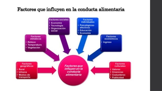 Factores que determinan la alimentación nutrición