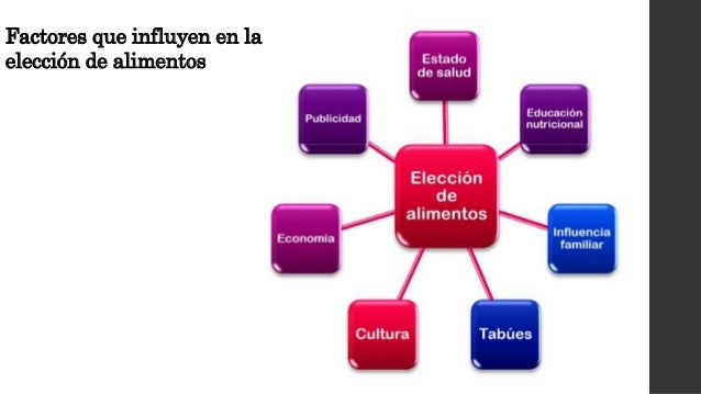 Cuáles Son Los Factores Que Influyen En La Nutrición