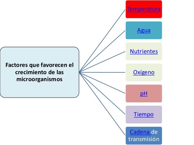 Factores que favorecen el crecimiento de bacterias