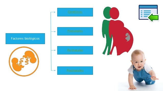 Factores Que Influyen En El Desarrollo Del Niño Pdf Hay