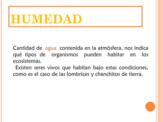 HUMEDAD

Cantidad de agua contenida en la atmósfera, nos indica
qué tipos de organismos pueden habitar en los
ecosistemas.
 Existen seres vivos que habitan bajo estas condiciones,
como es el caso de las lombrices y chanchitos de tierra.
 