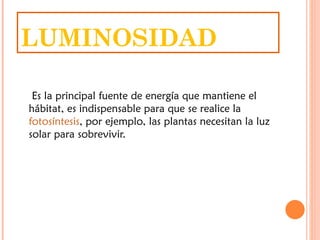 LUMINOSIDAD

 Es la principal fuente de energía que mantiene el
hábitat, es indispensable para que se realice la 
fotosíntesis, por ejemplo, las plantas necesitan la luz
solar para sobrevivir.
 