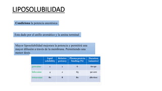 Factores Que Modifican La Acci n De Los Anest sicos Locales PPTX factores-que-modifican-la-acci-n-de-los-anest-sicos-locales-pptx