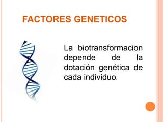 Factores que modifican la metabolización de los farmacos | PPTX